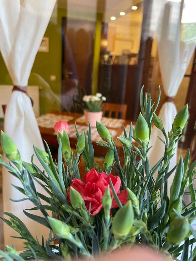 Casa Shiro Hotel Синая Екстериор снимка